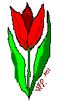 The VFP Logo: Vibrant Scarlet Red Trillium with Bright green leaves